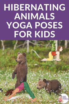 the book cover for hibernating animals yoga poses for kids with two bears