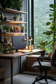 an office with plants on the shelves and a desk in front of a large window