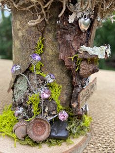 a close up of a tree with moss growing on it