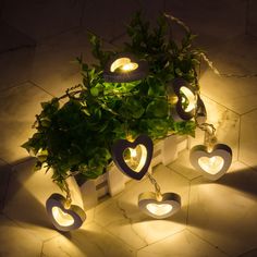 some lights that are sitting on the ground next to a potted plant with leaves