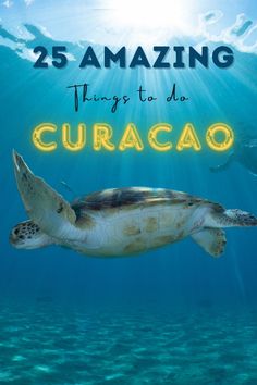 a turtle swimming under water with the words 25 amazing things to do in curaco