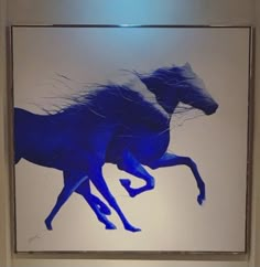 two blue horses running in the air with long manes on their back, against a white background