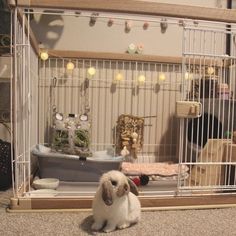 a rabbit sitting in front of a cage filled with toys and other items on the floor