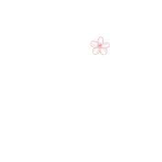 an image of a pink flower on a white background that looks like it is floating in the air