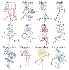 zodiac signs with flowers and stars in the sky, including names for each zodiac sign