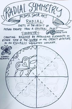 the diagram for radil's summerry is shown in black and white