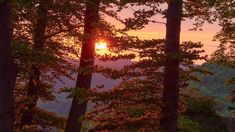 the sun is setting in the distance behind some trees with leaves on them and mountains in the background