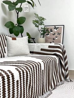 a living room with a couch and potted plant