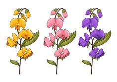 three different types of flowers with green leaves on the stems and pink, yellow, purple, and blue flowers