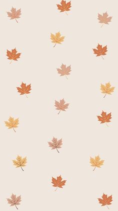 many different colored leaves on a white background