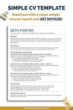 a simple resume template for an it professional