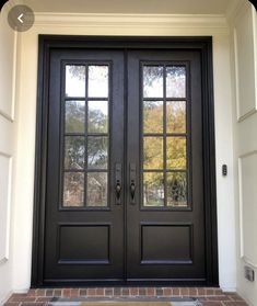 a black double door with two sidelights and brick steps