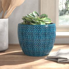 a blue potted plant sitting on top of a wooden table next to a window