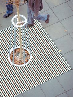 a man walking past a tall tree on top of a white and black striped rug