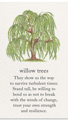 the willow tree poem on white paper