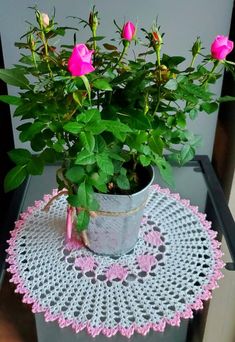 a potted plant sitting on top of a table next to a crocheted doily