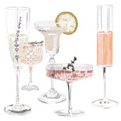 four different types of wine glasses are shown in this drawing, one is filled with liquid and the other has an orange slice