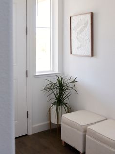 a white room with a potted plant next to a window