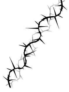 a black and white photo of a crown of thorns