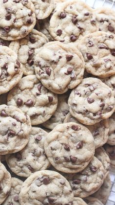 These mini chocolate chip cookies are as delicious as they are cute, with plenty of chocolate chips and a rich, soft dough. They're perfect for a large gathering or as your own little snack! You can store them in the freezer and pull one out whenever you're craving a treat.  #minicookies #chocolatechipcookie #bestchocolatechipcookies #chocolatechipcookiedough #easycookierecipe #cookierecipe #cookies #baking