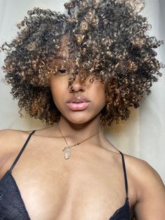 Brown Highlights Black Women Natural Hair, Highlights 4b Natural Hair, Hair Color For Black Natural Hair, Pintura Highlights Natural Hair, Highlights In Afro Hair, Curly Fro Highlights, Honey Blonde Type 4 Natural Hair, Black Women With Brown Hair Color, Honey Blonde Highlights On 4c Natural Hair