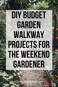 a garden with the words diy budget garden walk way projects for the weekend gardener