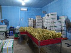 a room filled with lots of boxes and bananas on top of red dollys in front of blue walls