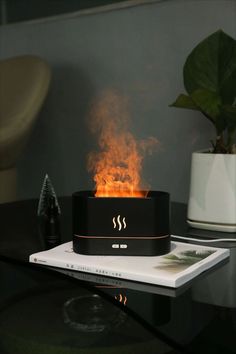 a table with a fire burning on top of it next to a potted plant