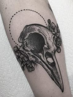 a black and white photo of a skull with a bird's head on it