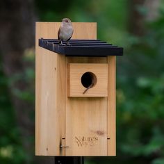 a bird sitting on top of a wooden bird house