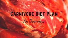 Hello and welcome! I'm excited to have you on this journey! I believe this way of eating has a great potential to positively transform people's health and their life and I hope your carnivore experiment will be a positive one. Who is this carnivore diet plan for? This 16-Week Carnivore Diet Plan series is written Most Nutrient Dense Foods, Sample Meal Plan, The Last Meal, Broth Recipes