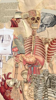 a collage of medical images with human body and organs on parchment paper in the background