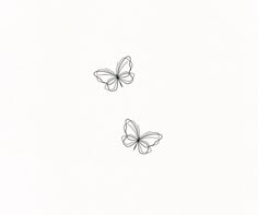 two butterflies flying side by side in the sky