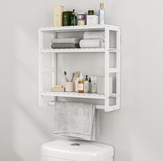 a white shelf above a toilet filled with personal care items on it's shelves