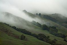 the rolling hills are covered in thick fog