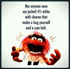 the muppet from sesame's movie, miss piggy is shown in this quote