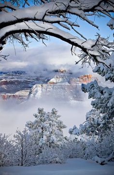 snow covered trees in the foreground and mountains in the background, with an instagram message below