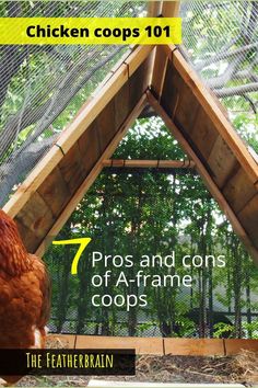 chicken coops 1017 pros and cons of a - frame coops