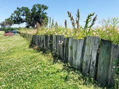 an old wooden fence with weeds growing on it