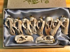 "THIS IS A WHOLESALE LOT OF 10 EAGLE SKULL REPLICA PENDANTS . Hand Carved from Naturally Shed Deer antler and ready to be made into a necklace.      Size     It is 1.57 inches (4cms) from the tip to the end of the beak and 0.66 inches (1.70 cms) wide. Skulls are here to remind us that every day is precious.      Attributes     Do you want to soar to great heights in your life? Do you need to summon up true courage? Are you called to deliver messages from the Divine but need support in learning to access them? Eagle Spirit can help! Because the Eagle flies higher than all other birds, He is considered Chief of all flying creatures. This certainly also connects Eagle with the Air element. He also rules over the Eastern quarter of creation, which represents renewal and the season of spring. O Falcon Feather, Eagle Skull, Bird Skull Necklace, Raven Skull Necklace, Real Skull, Crow Skull, Eagle Bird, Skull Pendant Necklace, Viking Pendant