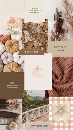 an autumn collage with pumpkins, leaves and other things