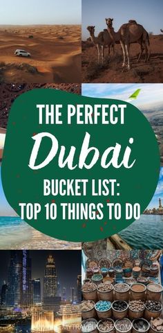 the top 10 things to do in the perfect dubai bucket list, including camels and desert