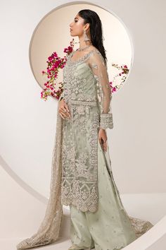 Walima Look, Work Crystals, Pakistani Wedding Dress, Pure Chiffon, Net Dupatta, Pakistani Wedding, Make Color, How To Dye Fabric, Green Fabric