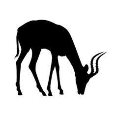 a black and white silhouette of a gazelle eating from the ground with its head down