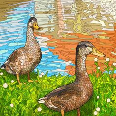 two ducks are standing in the grass near water