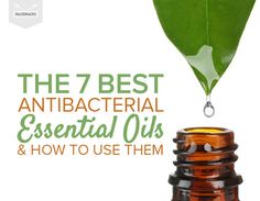 The 7 Best Antibacterial Essential Oils Essential Oil Gift Basket, Antibacterial Essential Oils, Floral Essential Oils, Aromatherapy Recipes, Homemade Essential Oil, Spa Prices, Essential Oils Herbs, Essential Oils Gifts, Dead Sea Salt