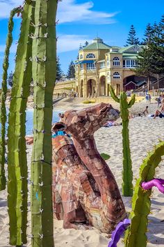 a wooden bear sitting on top of a sandy beach next to tall green cactus trees