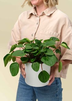 a woman holding a potted plant with green leaves