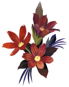 three red flowers with green leaves on a white background, one is purple and the other is orange