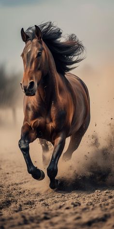 a brown horse running in the sand with it's front legs spread out and hair blowing